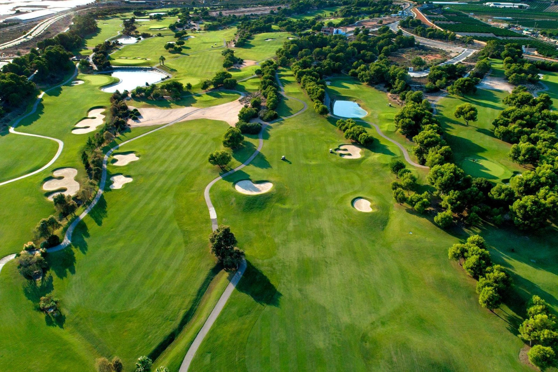 Rynek Pierwotny - Villa -
Pilar de la Horadada - Lo Romero Golf
