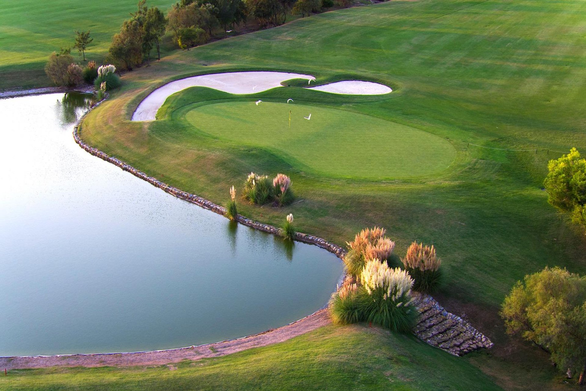 Rynek Pierwotny - Villa -
Pilar de la Horadada - Lo Romero Golf