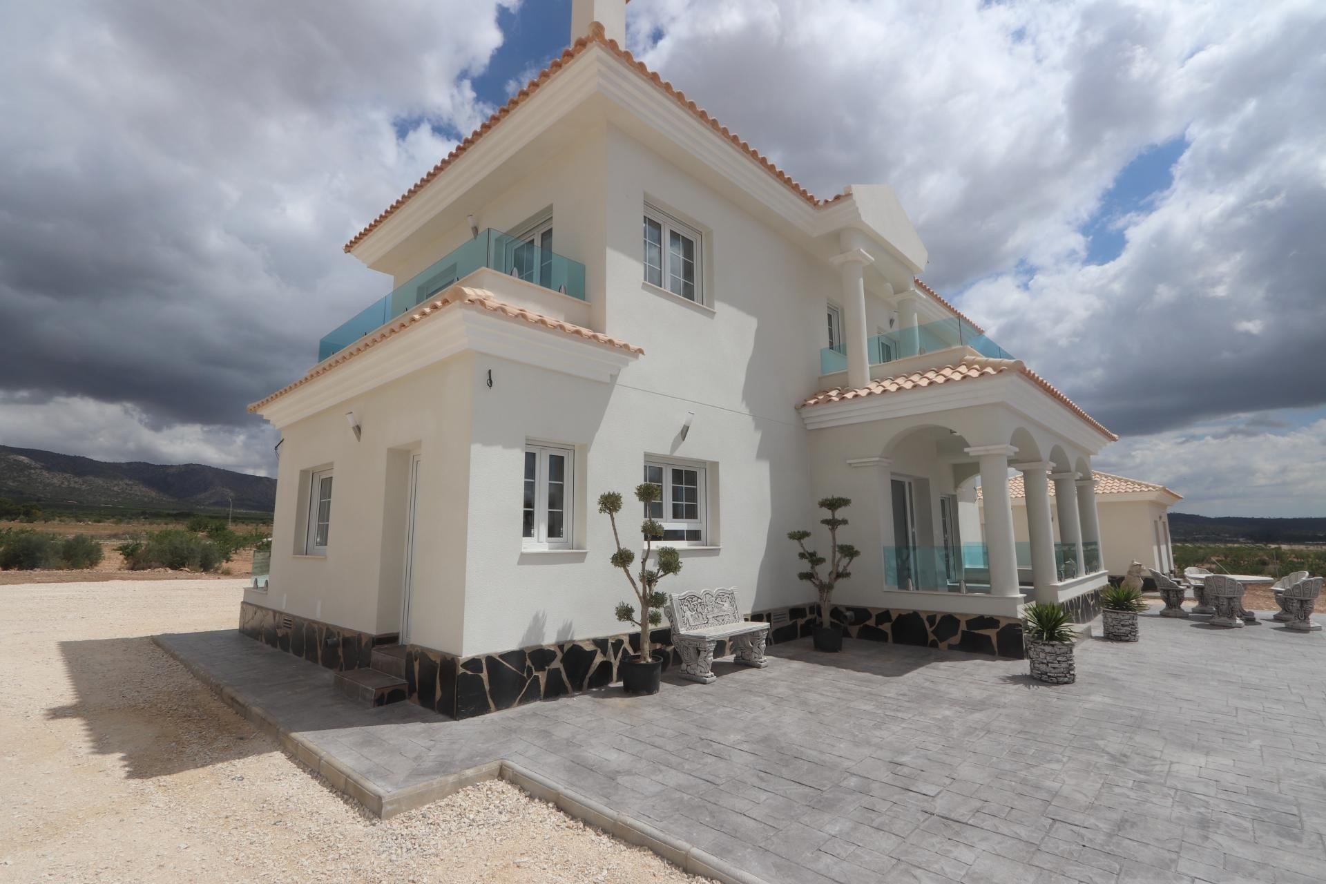 Rynek Pierwotny - Villa -
Pinoso - Camino Del Prado