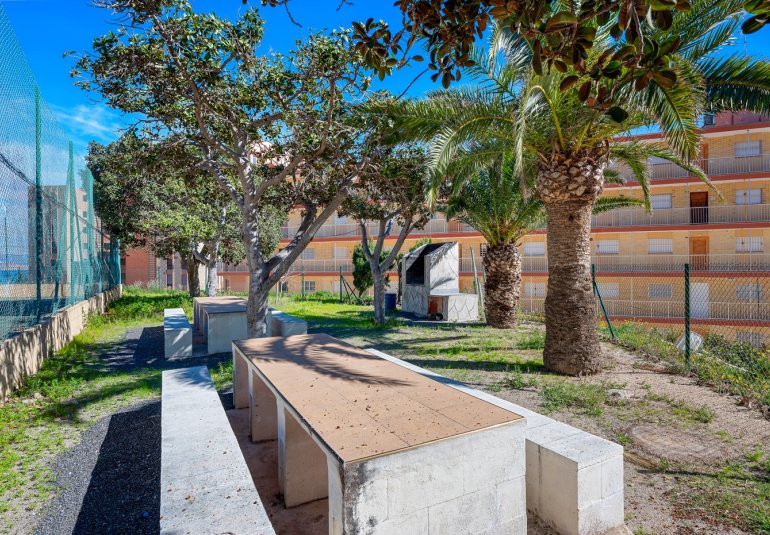 Rynek Wtórny - Apartament -
Arenales del Sol - Segunda linea playa