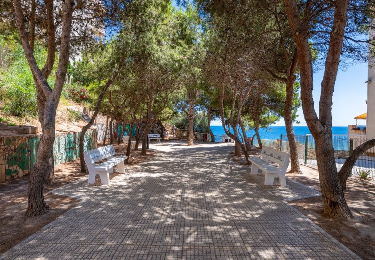 Rynek Wtórny - Apartament -
Cabo Roig