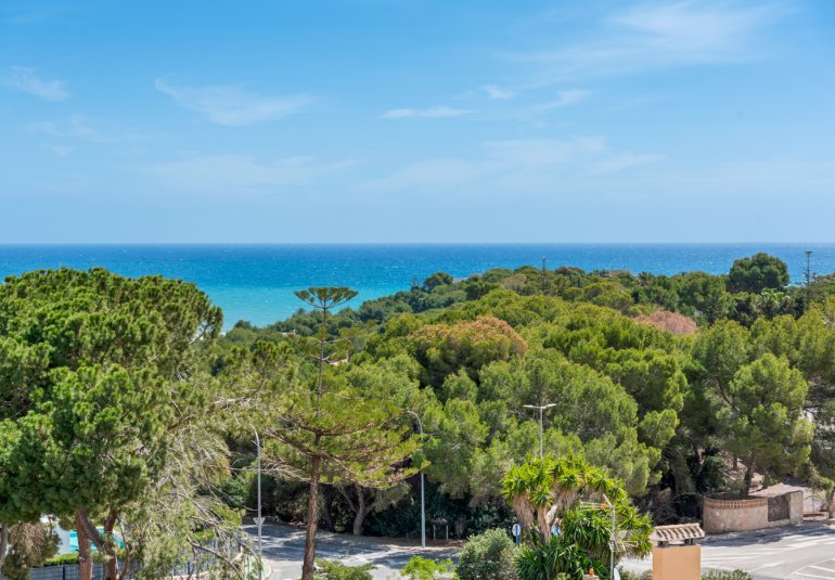 Rynek Wtórny - Apartament -
Orihuela Costa - Campoamor
