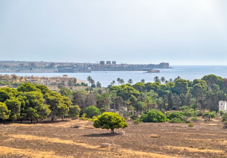 Rynek Wtórny - Apartament -
Torrevieja - Punta Prima