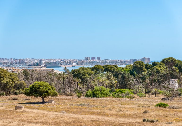 Rynek Wtórny - Apartament -
Torrevieja