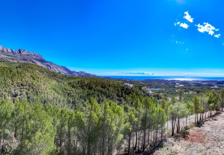 Rynek Wtórny - Działka -
Altea - Sierra de Altea