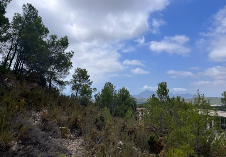 Rynek Wtórny - Działka -
Altea - Sierra de Altea
