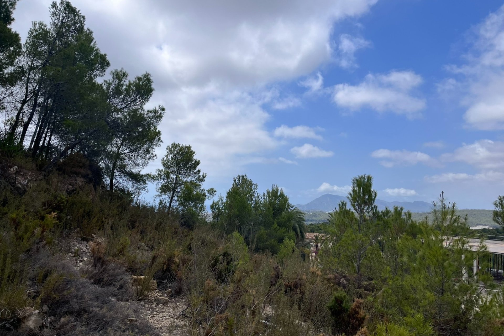 Rynek Wtórny - Działka -
Altea - Sierra de Altea