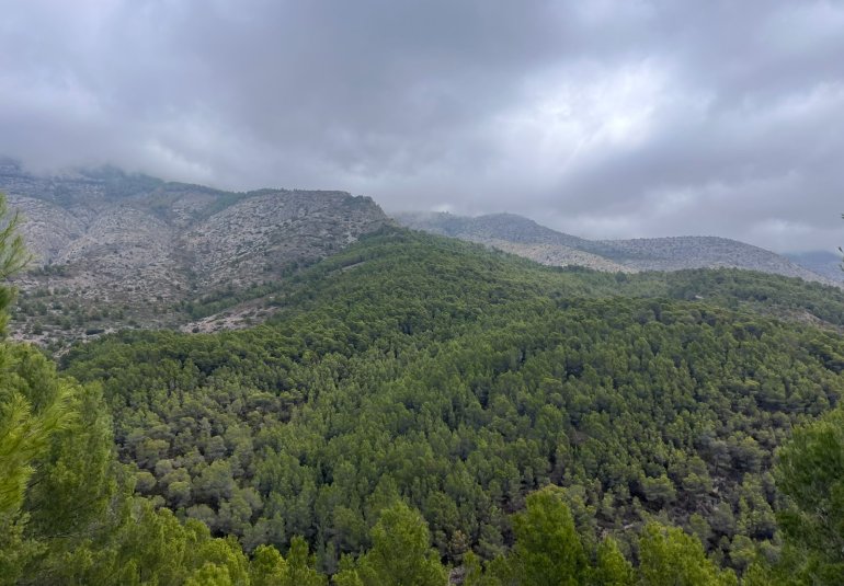 Rynek Wtórny - Działka -
Altea - Sierra de Altea