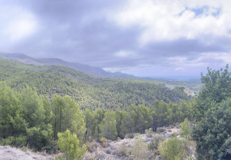 Rynek Wtórny - Działka -
Altea - Sierra de Altea