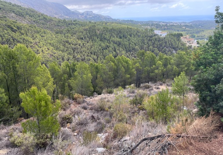 Rynek Wtórny - Działka -
Altea - Sierra de Altea