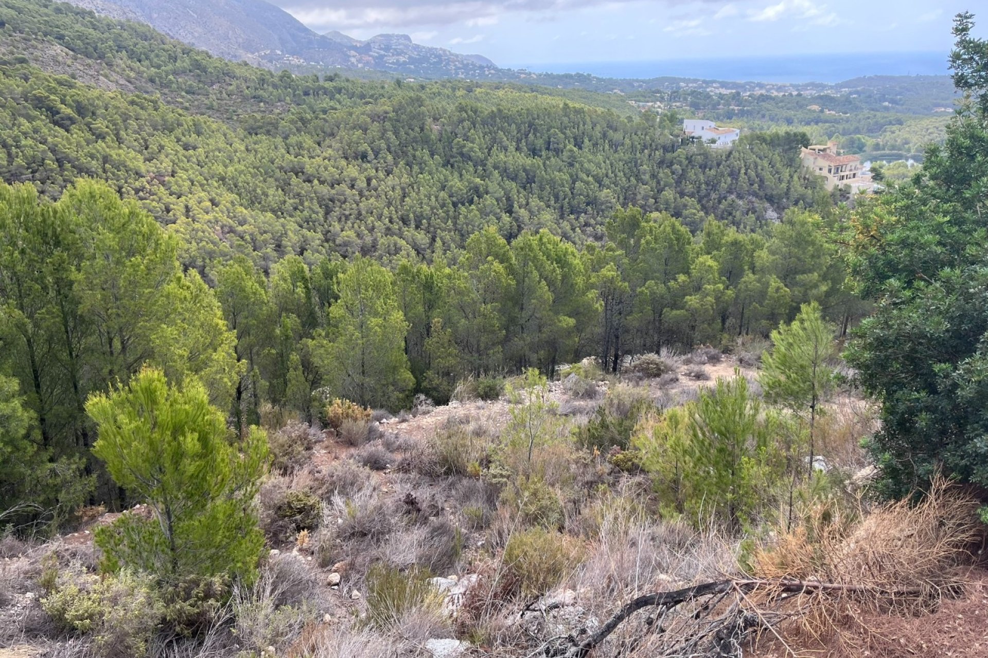 Rynek Wtórny - Działka -
Altea - Sierra de Altea