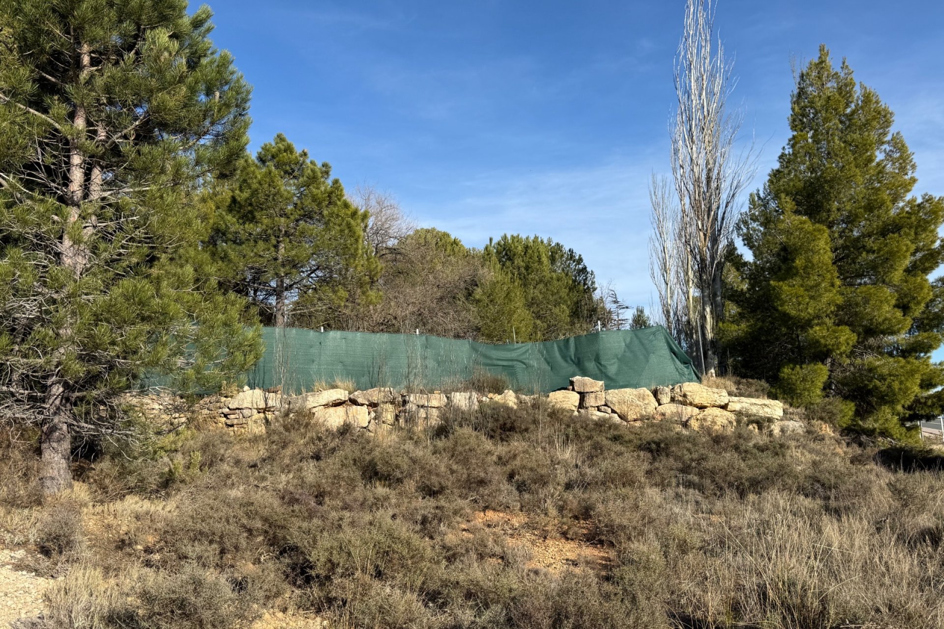 Rynek Wtórny - Property -
Valencia