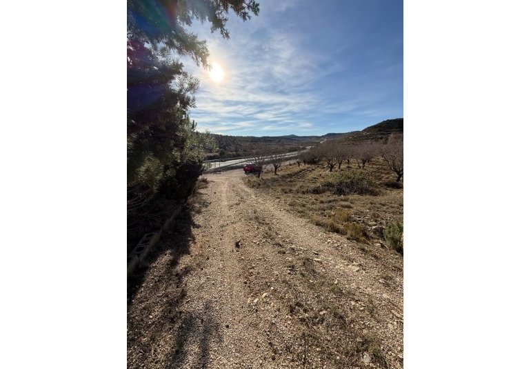 Rynek Wtórny - Property -
Valencia