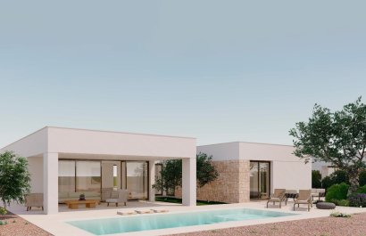 Villa - Obra nueva - Fuente Álamo -
                Hacienda del Alamo