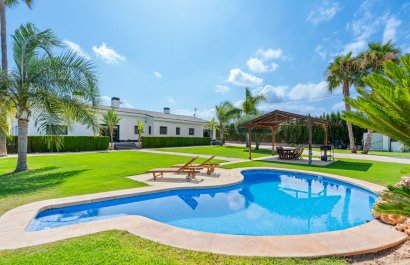 Villa - Reventa - Elche/Elx -
                Elche/Elx