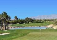 Rynek Pierwotny - Villa -
Cuevas Del Almanzora - Desert Springs Golf Club