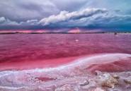 Rynek Pierwotny - Penthouse -
Torrevieja - Centro