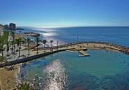 Rynek Pierwotny - Villa -
Torrevieja - Aguas Nuevas