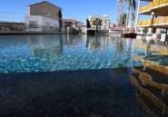 Rynek Pierwotny - Apartament -
San Pedro del Pinatar - Centro