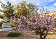 New Build - Villa -
LOS URRUTIAS - ESTRELLA DE MAR