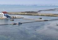 New Build - Apartment -
San Pedro del Pinatar - Pueblo