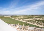New Build - Villa -
Algorfa - La finca golf