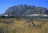 Rynek Pierwotny - Apartament -
El Verger