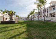 Rynek Pierwotny - Bungalow -
Torrevieja - Los Balcones