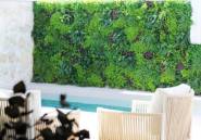 New Build - Bungalow -
Pilar de la Horadada - Torre De La Horadada