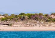 Rynek Pierwotny - Penthouse -
Guardamar del Segura - Pueblo