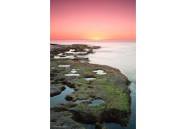 Rynek Pierwotny - Bungalow -
Torrevieja - Altos del Sol