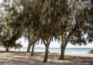 Rynek Pierwotny - Apartament -
Villajoyosa - Playa Les Torres