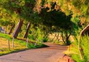 Rynek Pierwotny - Villa -
Pilar de la Horadada - Lo Romero Golf