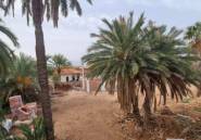 Rynek Pierwotny - Villa -
LOS URRUTIAS - ESTRELLA DE MAR