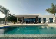 Obra nueva - Villa -
Pinoso - Casas Pastor