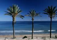 New Build - Bungalow -
Pilar de la Horadada - Parque Ramon eugenio Escudero