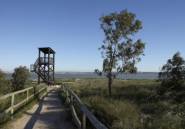 Rynek Pierwotny - Bungalow -
Torrevieja - Altos del Sol
