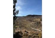 Rynek Wtórny - Property -
Valencia