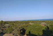 Rynek Pierwotny - Apartament -
Guardamar del Segura - Pueblo