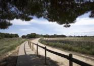 Obra nueva - Bungalow -
Torrevieja - Altos del Sol