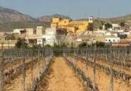 Rynek Pierwotny - Bungalow -
Hondón de las Nieves - El Salero