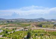 Rynek Pierwotny - Apartament -
Jacarilla - pueblo