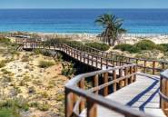 New Build - Penthouse -
Monforte del Cid - Alenda Golf