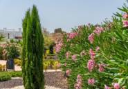 Rynek Pierwotny - Town House -
Orihuela - Vistabella Golf