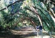 Rynek Pierwotny - Bungalow -
Torrevieja - Altos del Sol