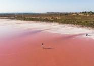 New Build - Villa -
Torrevieja - Aguas Nuevas