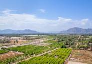 Obra nueva - Piso -
Jacarilla