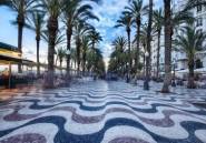 Rynek Pierwotny - Penthouse -
Alicante - Benalua