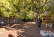 Rynek Wtórny - Villa -
Ciudad Quesada - Rojales - Doña pepa