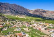 Reventa - Finca -
Orihuela